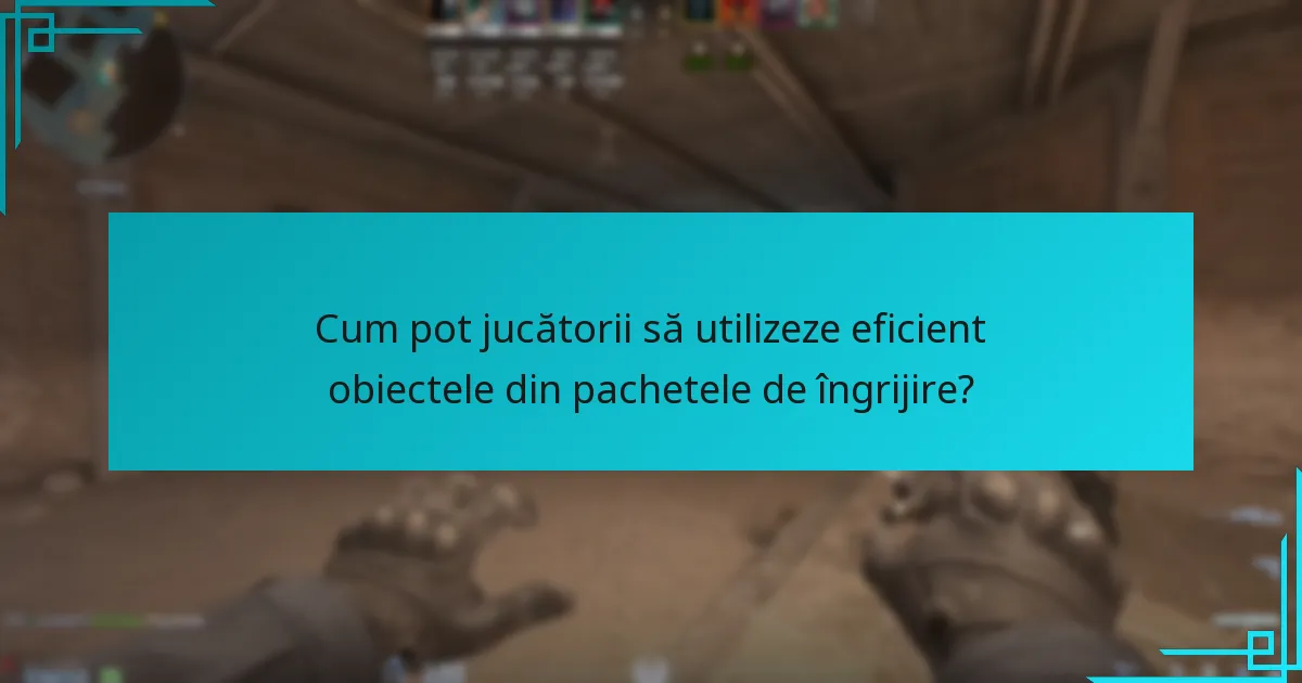 Cum pot jucătorii să utilizeze eficient obiectele din pachetele de îngrijire?